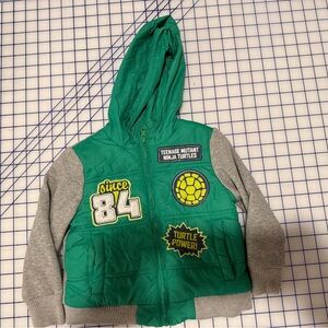 Teenage Mutant Ninja Turtles Green and Gray Hoodie